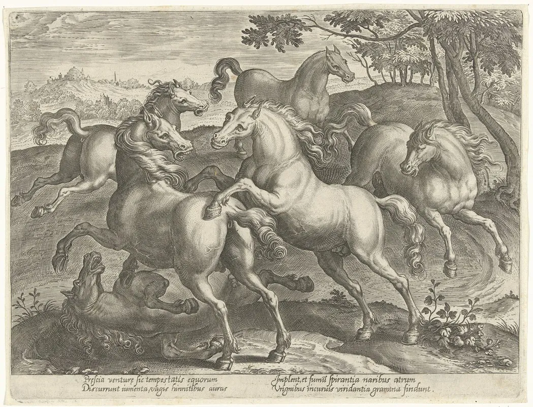 Six Fighting Horses Wall Art by Jan Collaert the Elder - High-Resolution Digital Print
