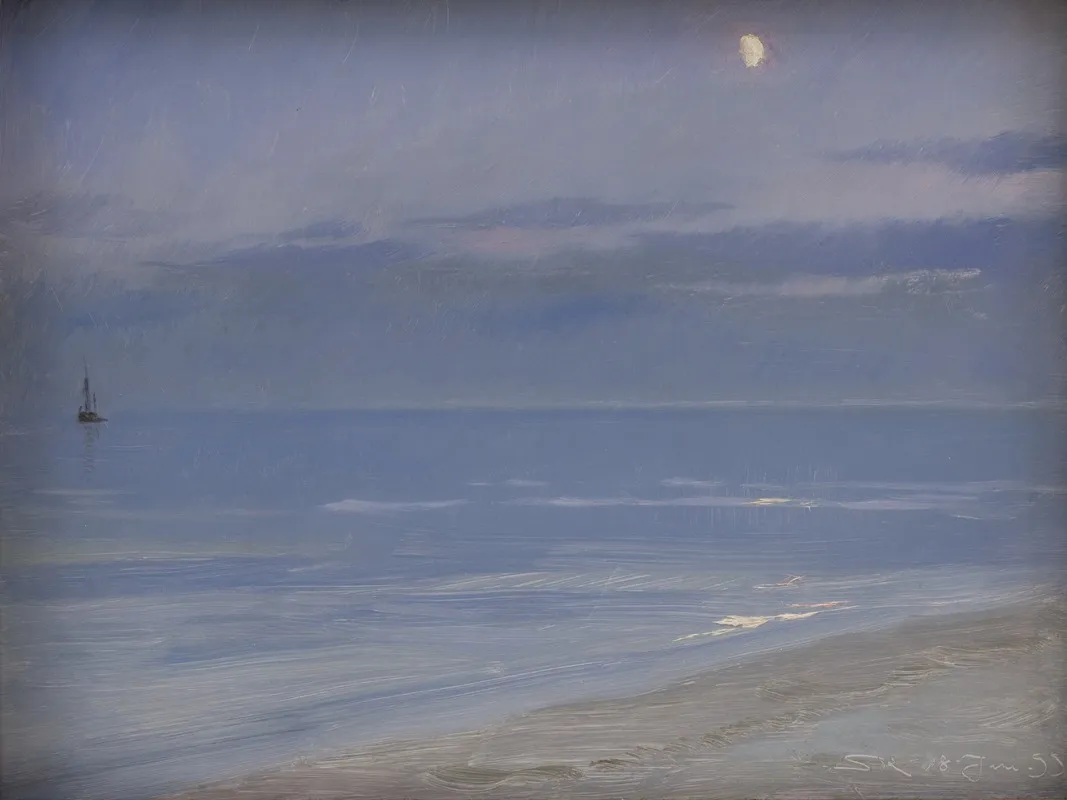 Skagen Beach In Moonlight