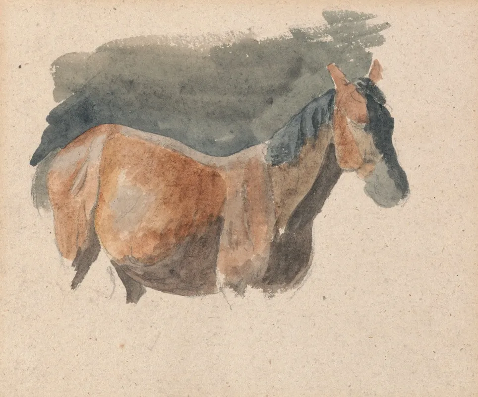 Sketch Of A Horse 2