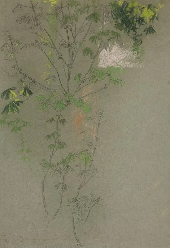 Sketch Of Leafing Tree Branches