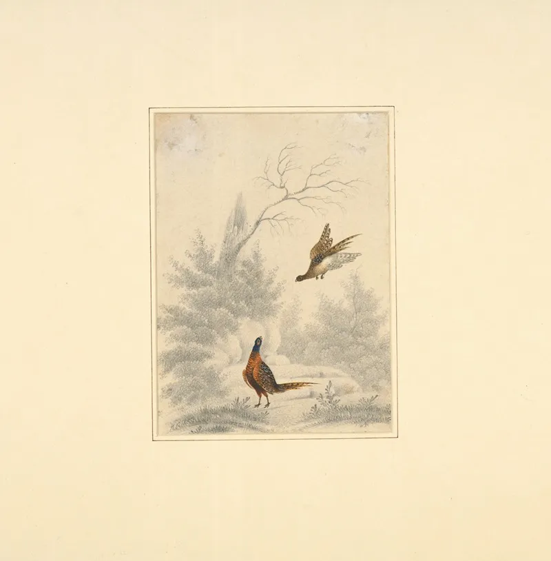 Sketch Of Pheasant One Flying And The Other On The Ground