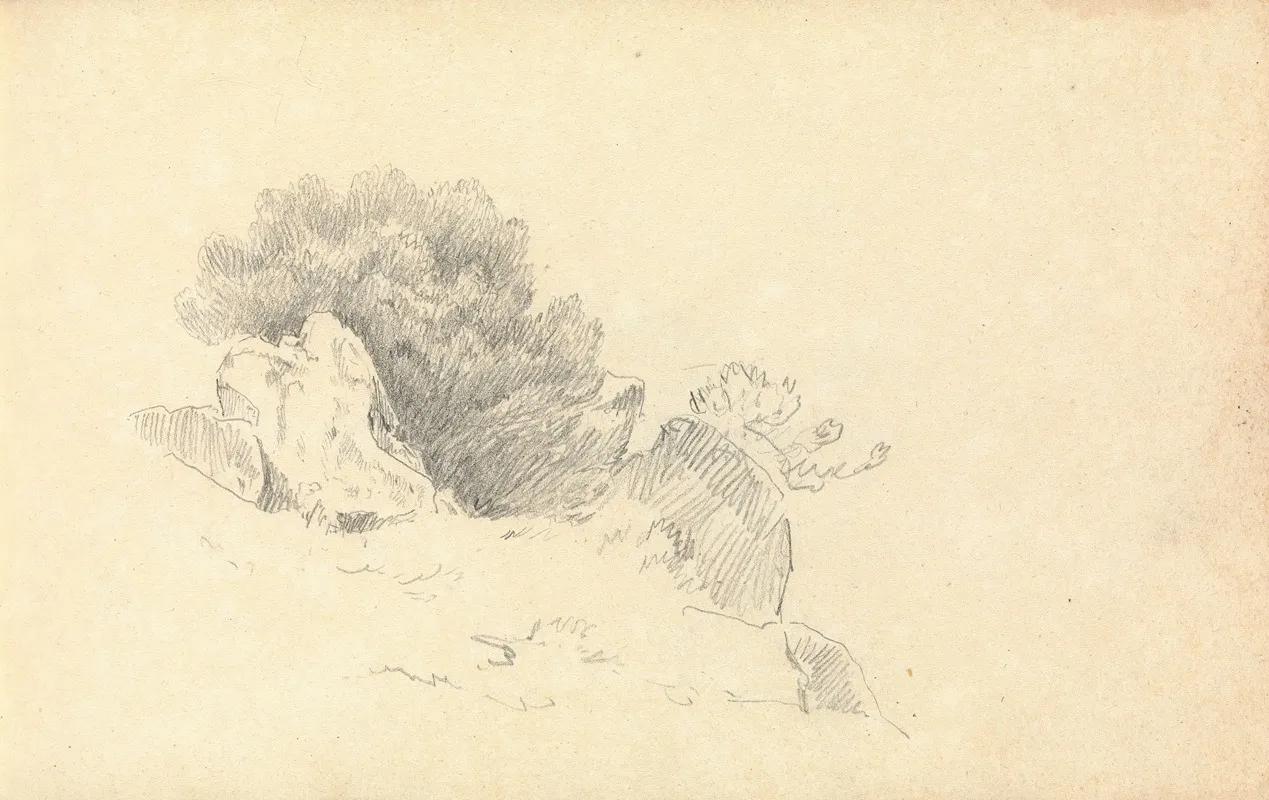 Sketch Of Rocks And Shrubs
