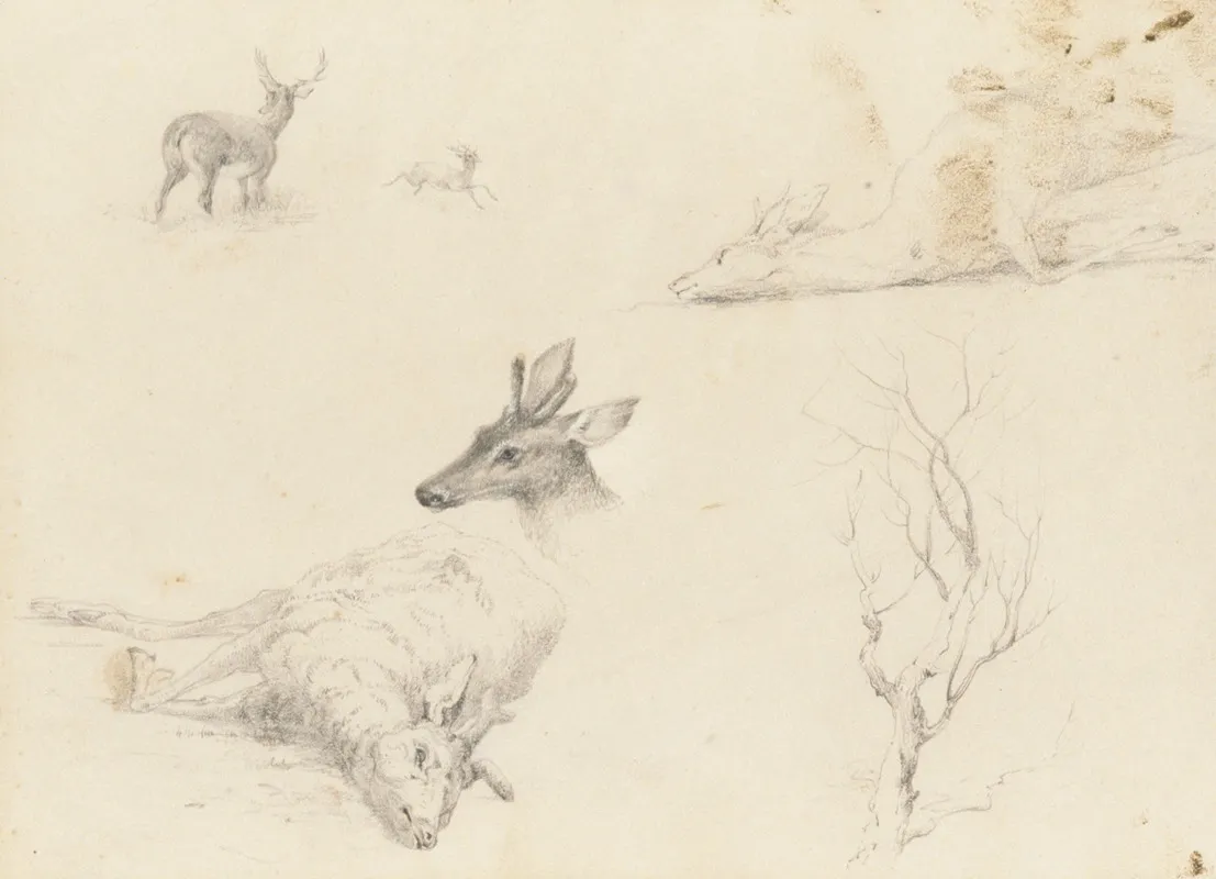 Sketchbook Of Landscape And Animal Subjects Wall Art by Thomas Hewes Hinckley - High-Resolution Digital Print