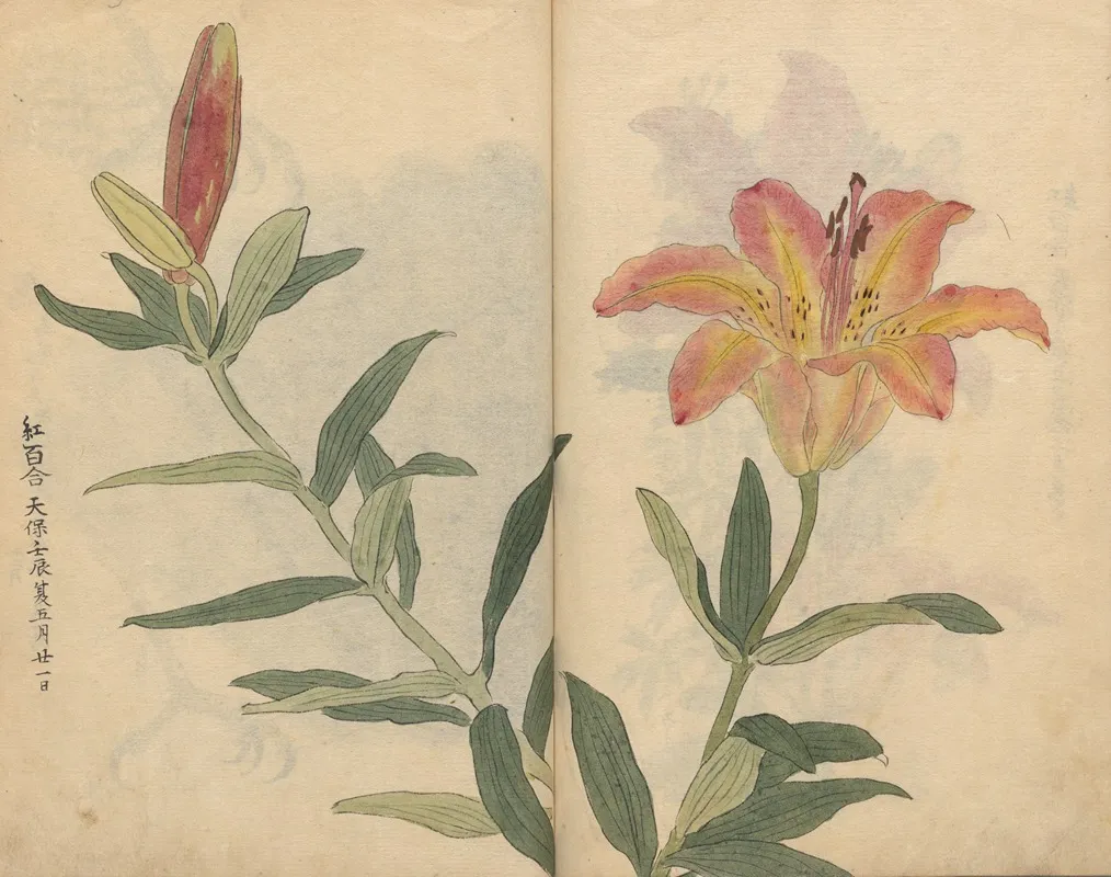 Sketchbook Pl 002 Wall Art by Ariyoshi Kondo - High-Resolution Digital Print