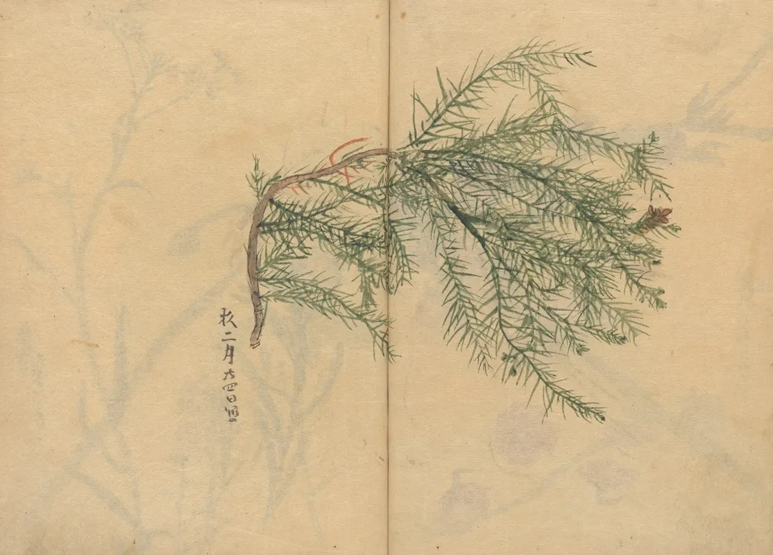 Sketchbook Pl 003 Wall Art by Ariyoshi Kondo - High-Resolution Digital Print