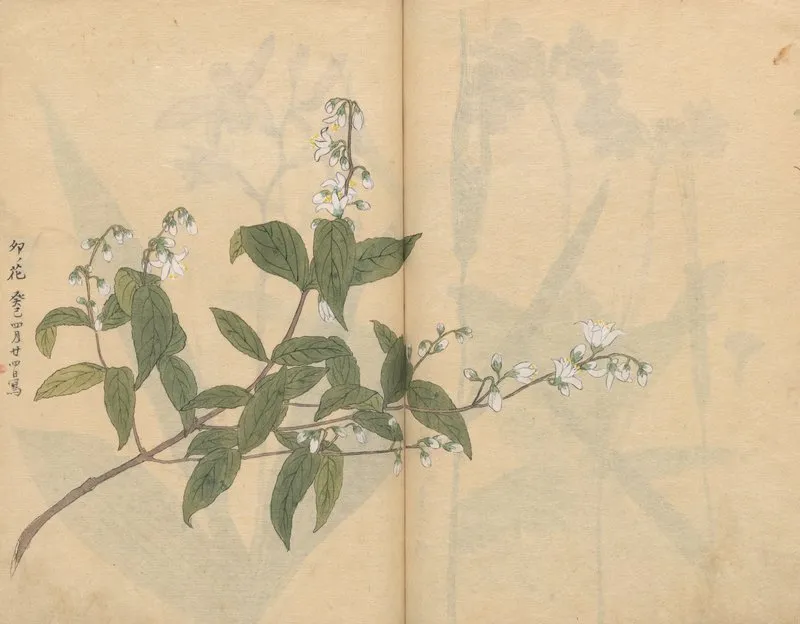 Sketchbook Pl 005 Wall Art by Ariyoshi Kondo - High-Resolution Digital Print