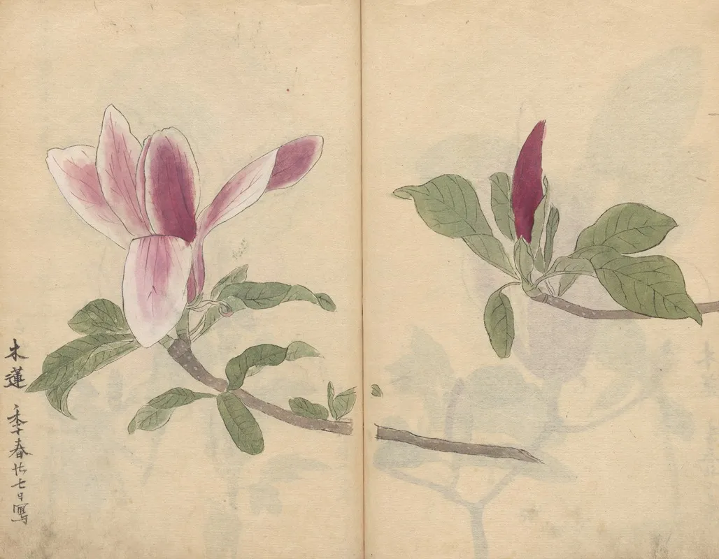 Sketchbook Pl 007 Wall Art by Ariyoshi Kondo - High-Resolution Digital Print