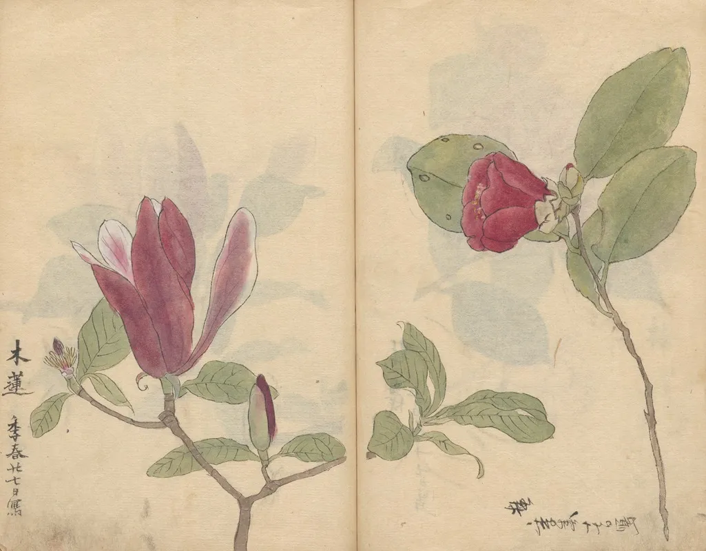 Sketchbook Pl 008 Wall Art by Ariyoshi Kondo - High-Resolution Digital Print