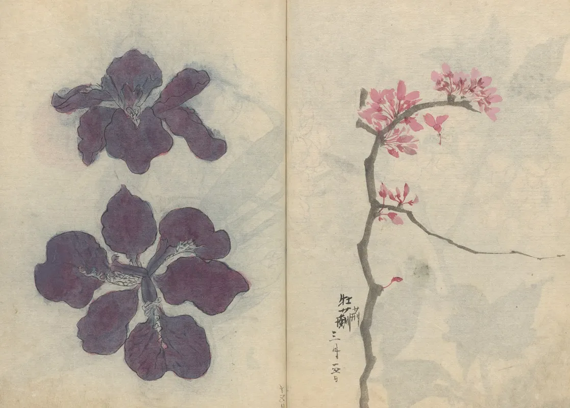 Sketchbook Pl 009 Wall Art by Ariyoshi Kondo - High-Resolution Digital Print