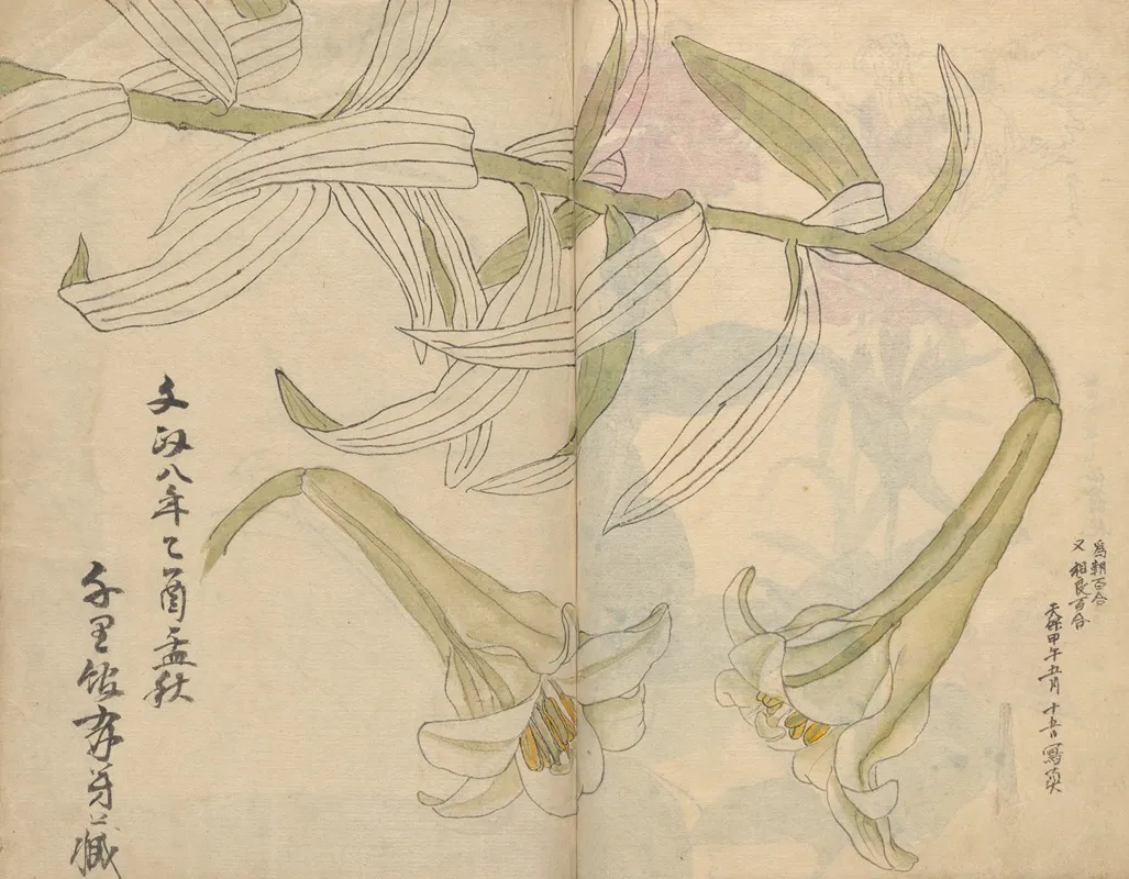 Sketchbook Pl 012 Wall Art by Ariyoshi Kondo - High-Resolution Digital Print
