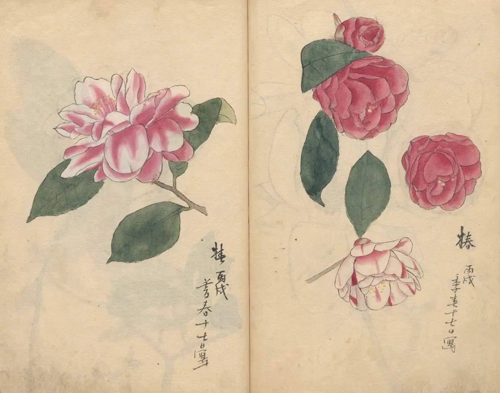 Sketchbook Pl 017 Wall Art by Ariyoshi Kondo - High-Resolution Digital Print