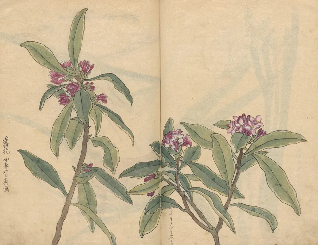 Sketchbook Pl 022 Wall Art by Ariyoshi Kondo - High-Resolution Digital Print