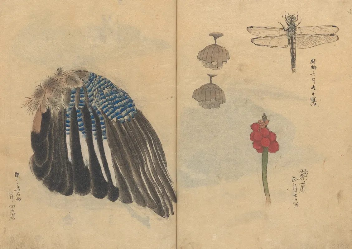 Sketchbook Pl 023 Wall Art by Ariyoshi Kondo - High-Resolution Digital Print