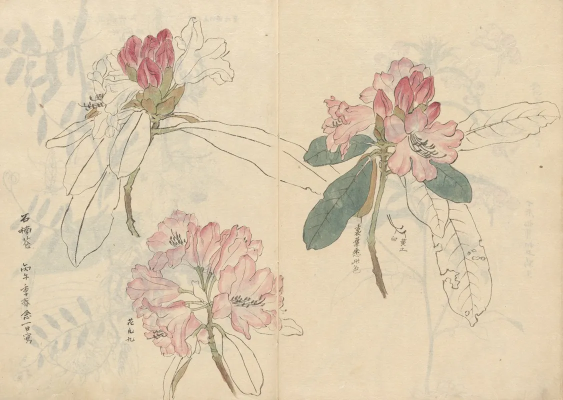 Sketchbook Pl 024 Wall Art by Ariyoshi Kondo - High-Resolution Digital Print