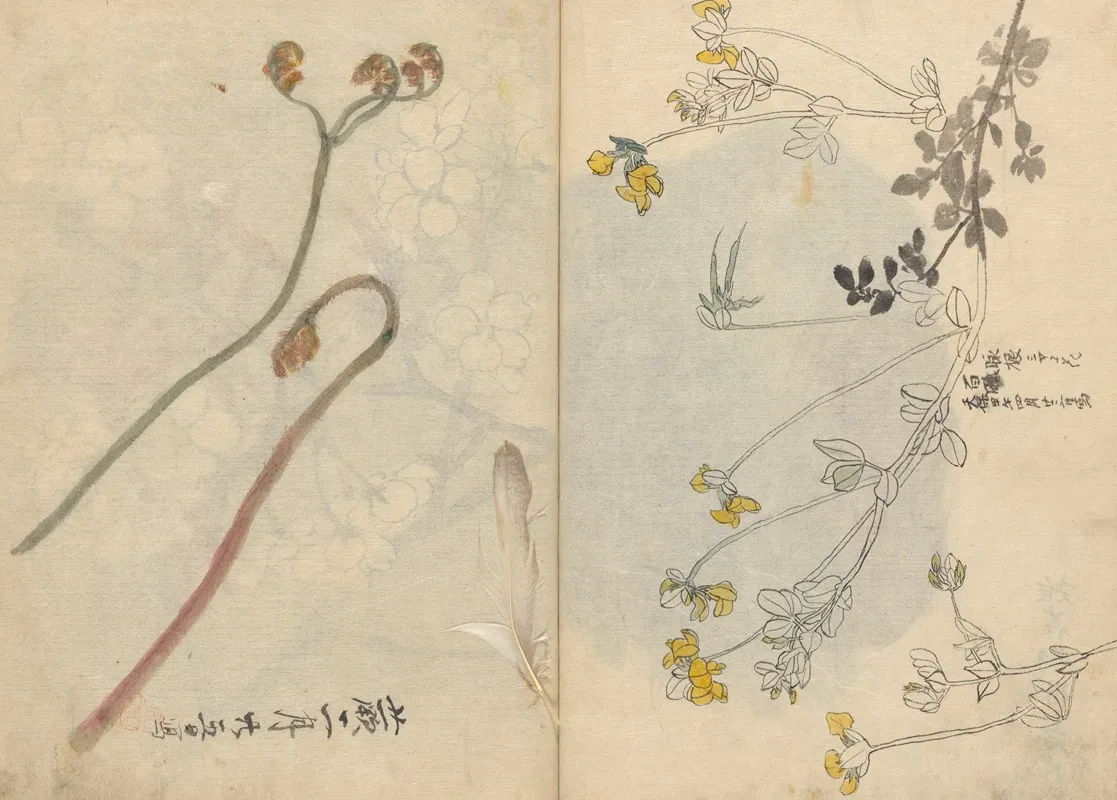 Sketchbook Pl 026 Wall Art by Ariyoshi Kondo - High-Resolution Digital Print