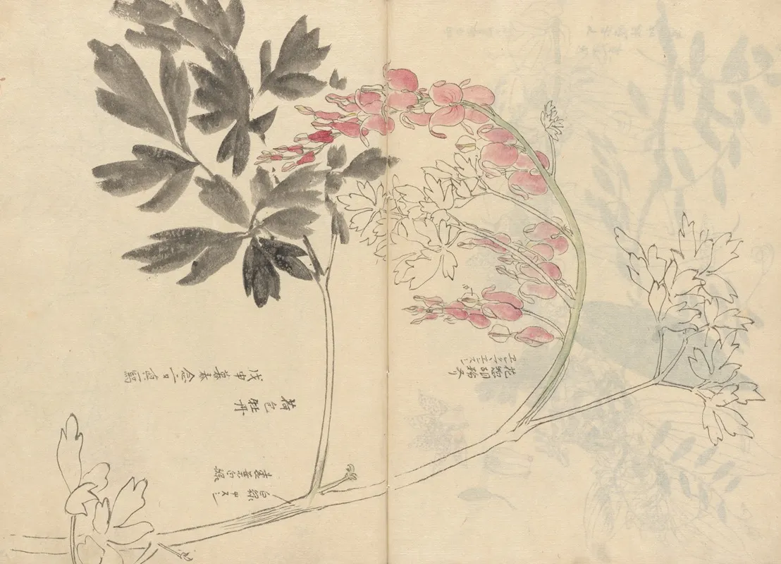 Sketchbook Pl 028 Wall Art by Ariyoshi Kondo - High-Resolution Digital Print