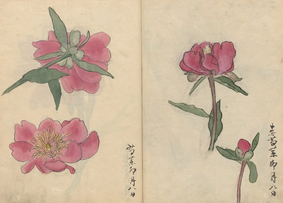 Sketchbook Pl 032 Wall Art by Ariyoshi Kondo - High-Resolution Digital Print