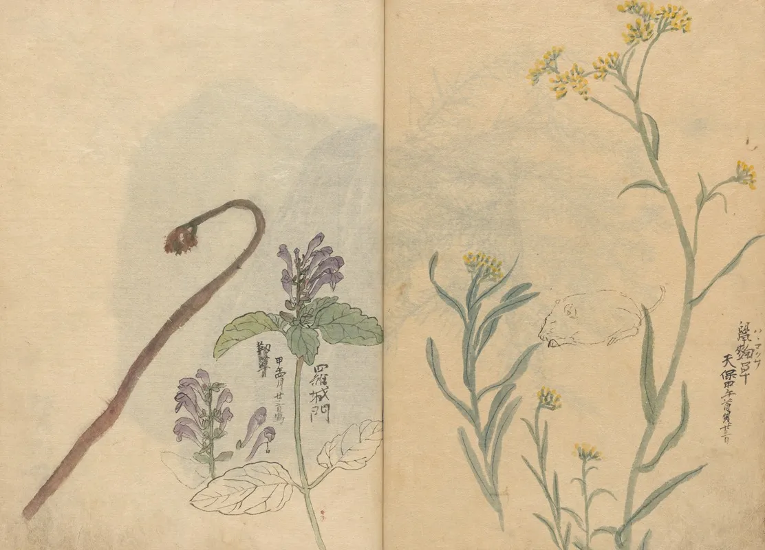 Sketchbook Pl 033 Wall Art by Ariyoshi Kondo - High-Resolution Digital Print
