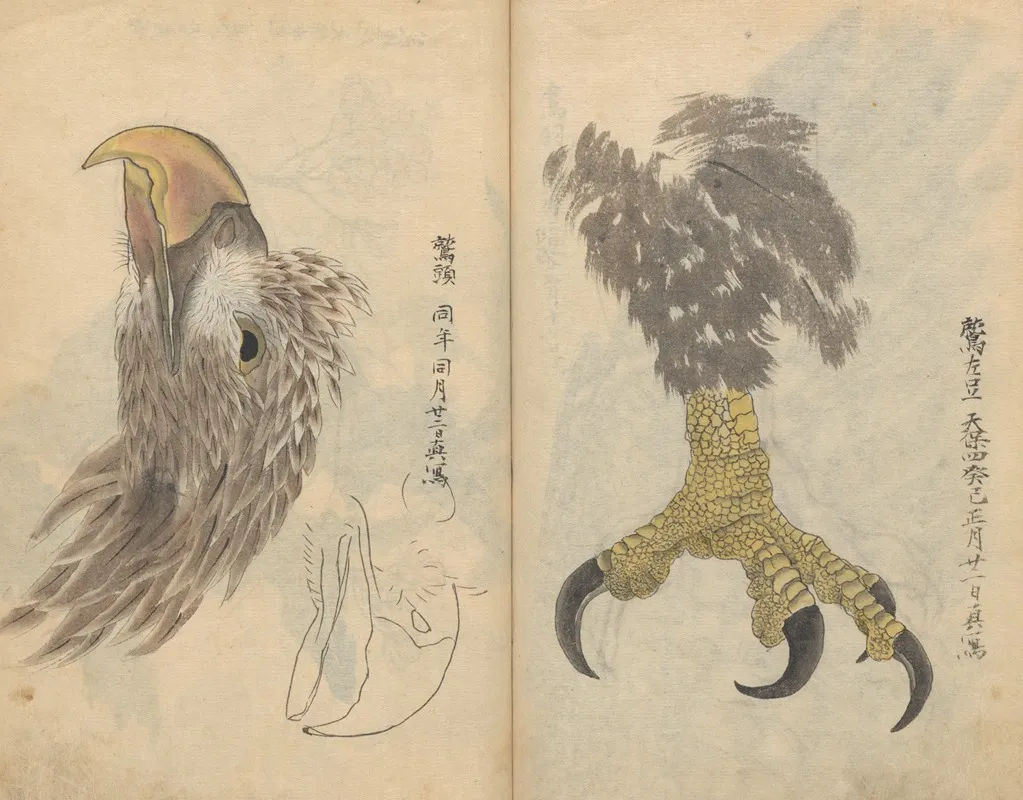 Sketchbook Pl 035 Wall Art by Ariyoshi Kondo - High-Resolution Digital Print