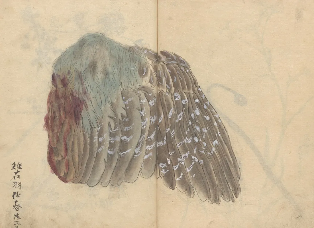 Sketchbook Pl 039 Wall Art by Ariyoshi Kondo - High-Resolution Digital Print