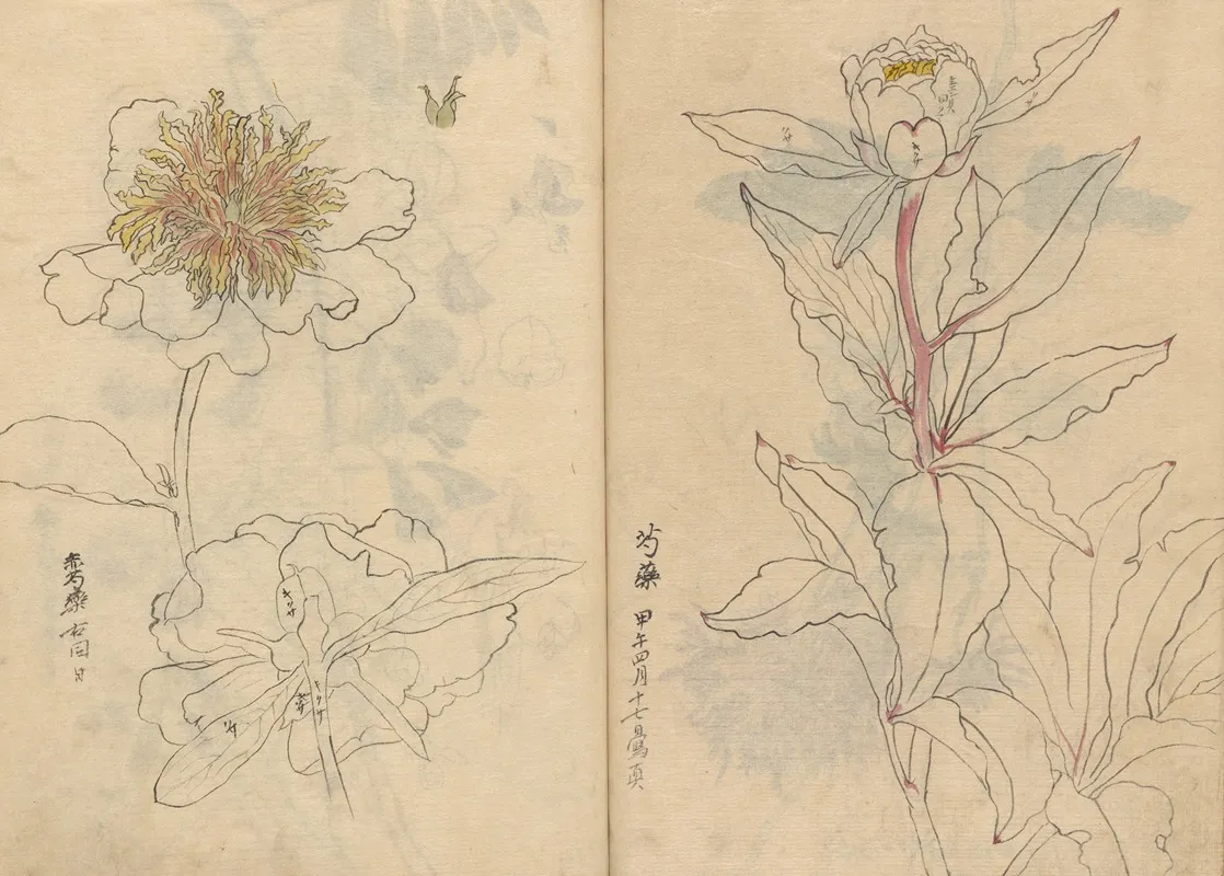 Sketchbook Pl 040 Wall Art by Ariyoshi Kondo - High-Resolution Digital Print