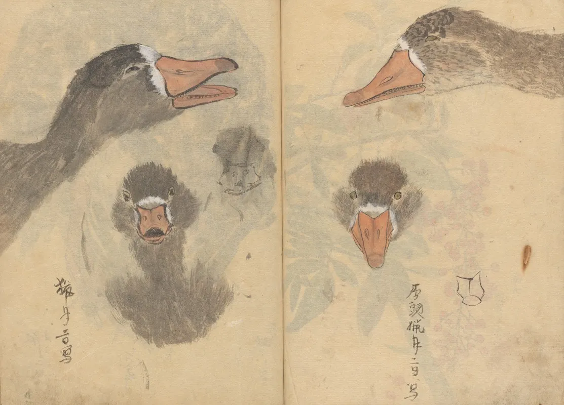 Sketchbook Pl 041 Wall Art by Ariyoshi Kondo - High-Resolution Digital Print