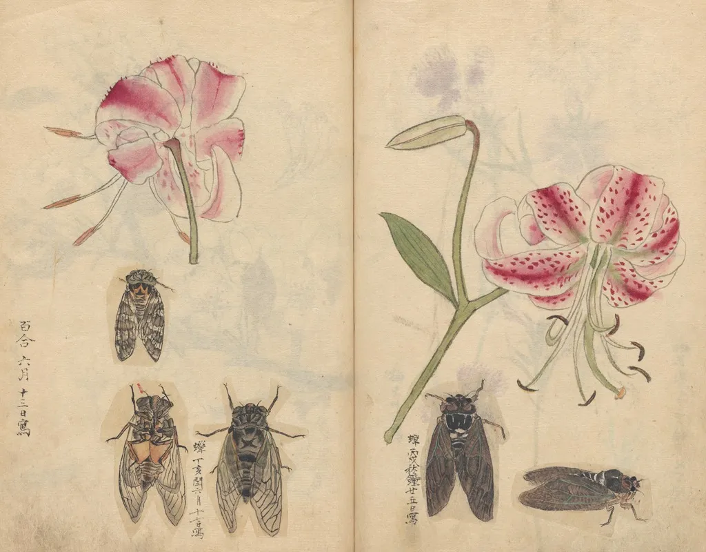 Sketchbook Pl 044 Wall Art by Ariyoshi Kondo - High-Resolution Digital Print