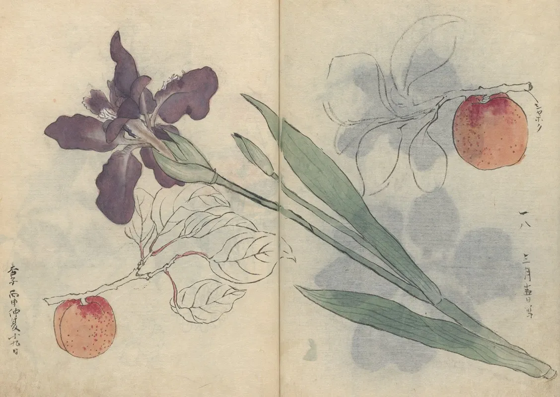 Sketchbook Pl 045 Wall Art by Ariyoshi Kondo - High-Resolution Digital Print