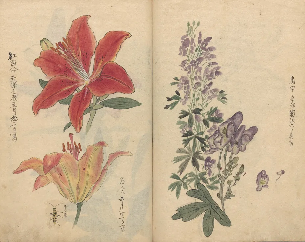 Sketchbook Pl 046 Wall Art by Ariyoshi Kondo - High-Resolution Digital Print