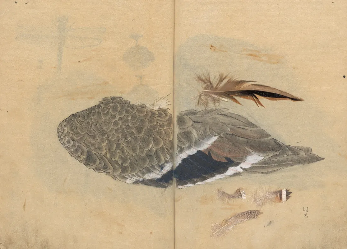 Sketchbook Pl 047 Wall Art by Ariyoshi Kondo - High-Resolution Digital Print