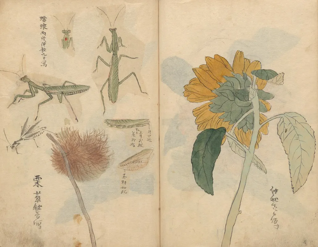 Sketchbook Pl 048 Wall Art by Ariyoshi Kondo - High-Resolution Digital Print