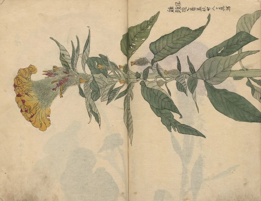 Sketchbook Pl 049 Wall Art by Ariyoshi Kondo - High-Resolution Digital Print