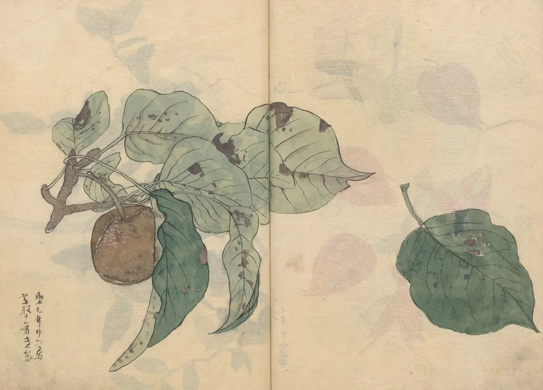 Sketchbook Pl 050 Wall Art by Ariyoshi Kondo - High-Resolution Digital Print