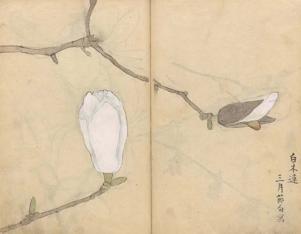 Sketchbook Pl 051 Wall Art by Ariyoshi Kondo - High-Resolution Digital Print