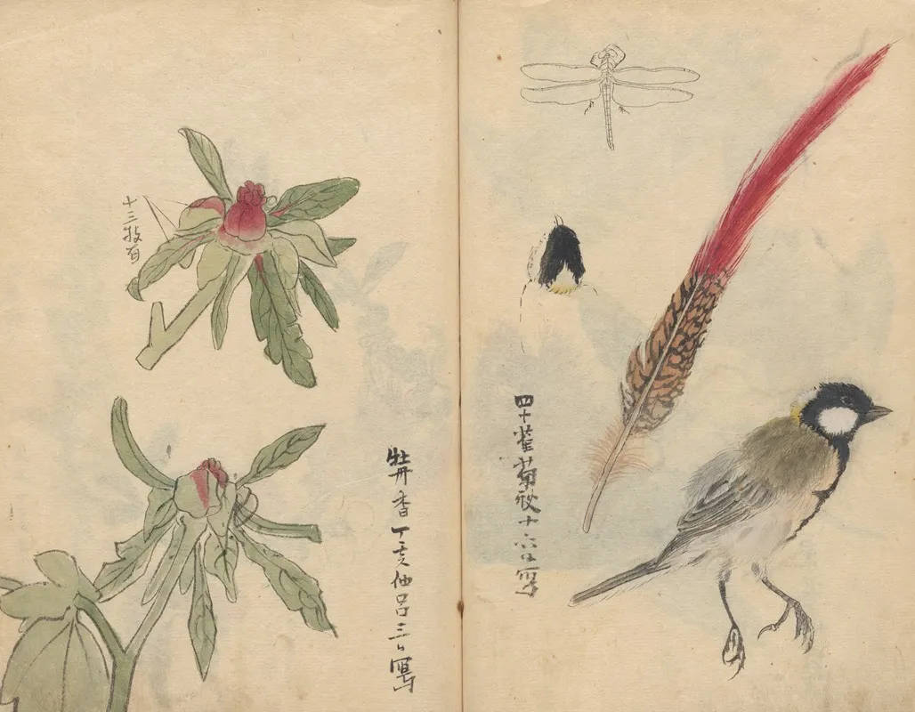 Sketchbook Pl 053 Wall Art by Ariyoshi Kondo - High-Resolution Digital Print