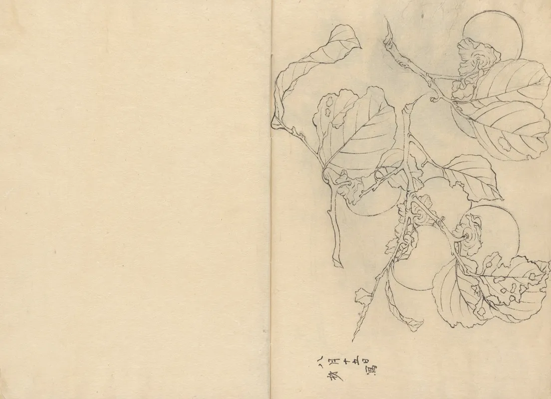 Sketchbook Pl 054 Wall Art by Ariyoshi Kondo - High-Resolution Digital Print