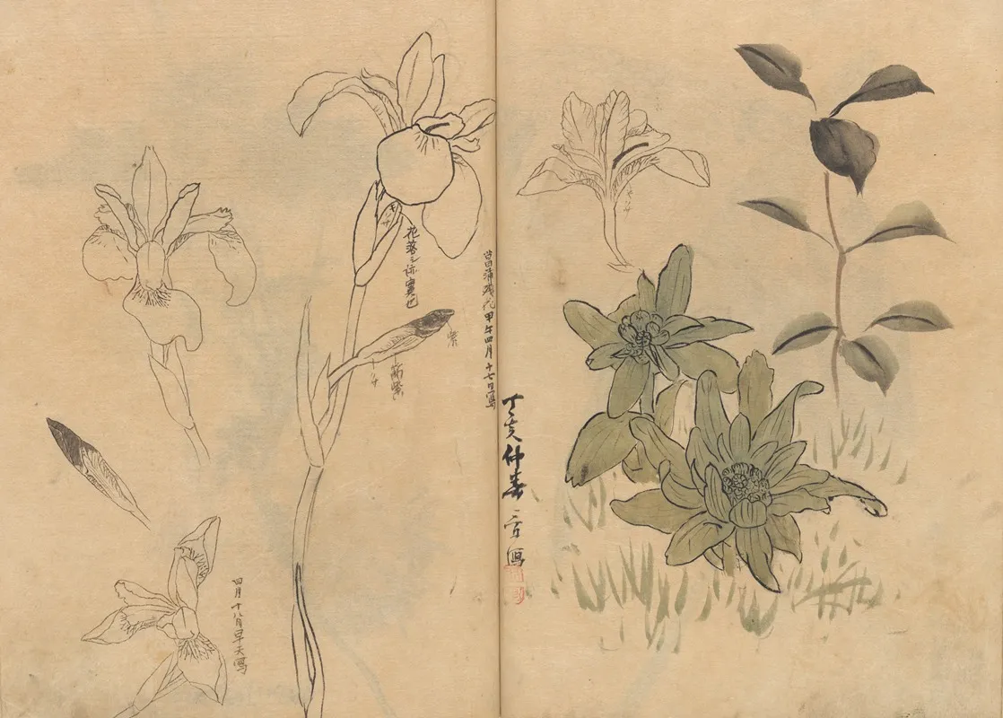 Sketchbook Pl 055 Wall Art by Ariyoshi Kondo - High-Resolution Digital Print