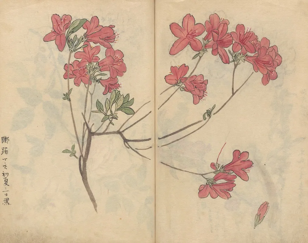 Sketchbook Pl 056 Wall Art by Ariyoshi Kondo - High-Resolution Digital Print
