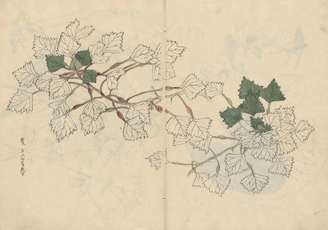 Sketchbook Pl 057 Wall Art by Ariyoshi Kondo - High-Resolution Digital Print