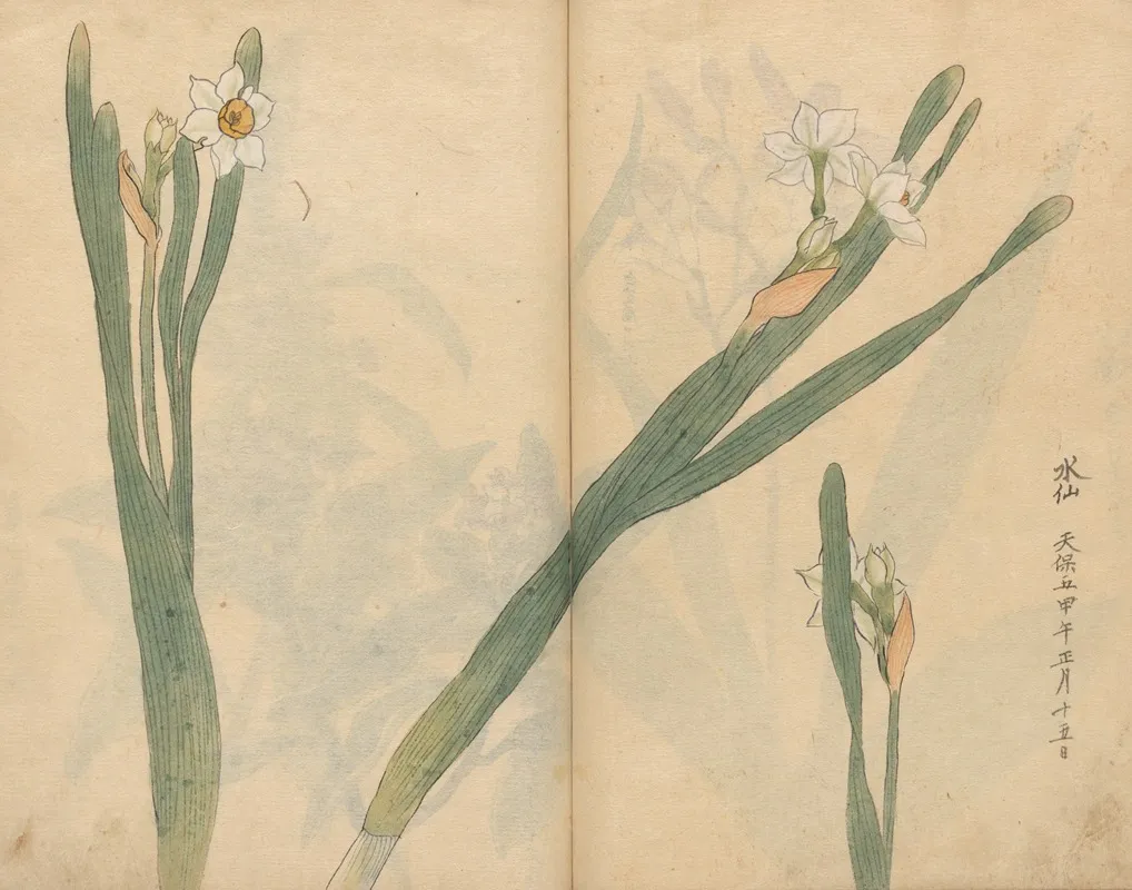 Sketchbook Pl 058 Wall Art by Ariyoshi Kondo - High-Resolution Digital Print