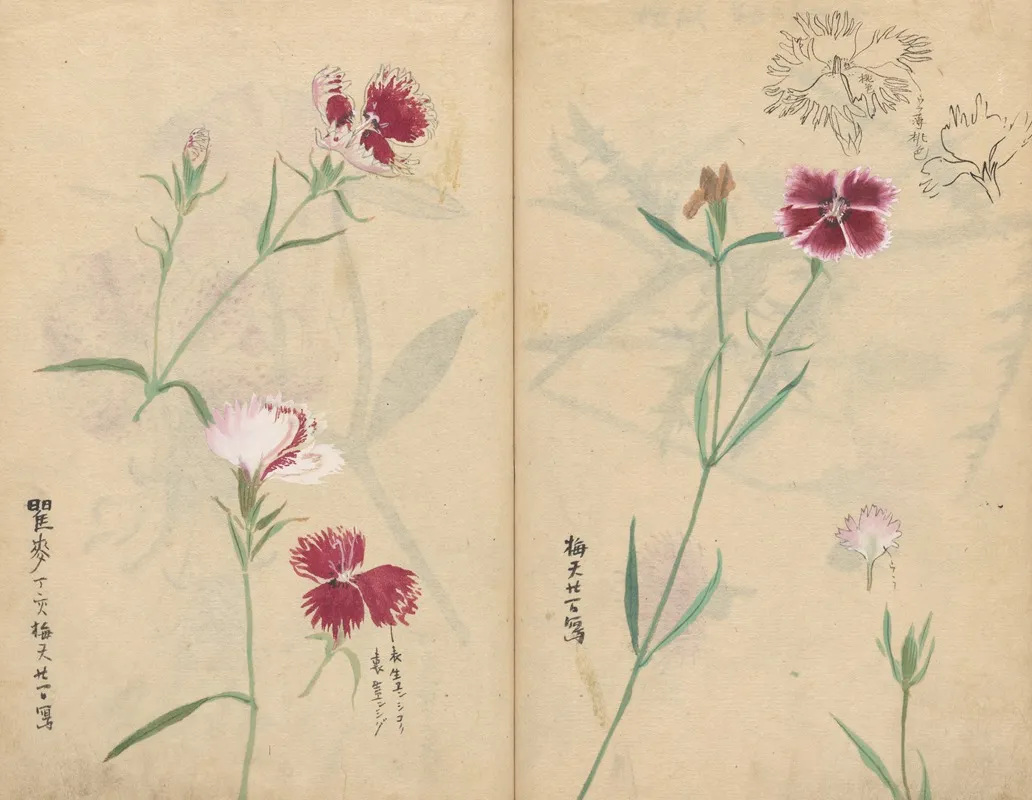 Sketchbook Pl 059 Wall Art by Ariyoshi Kondo - High-Resolution Digital Print