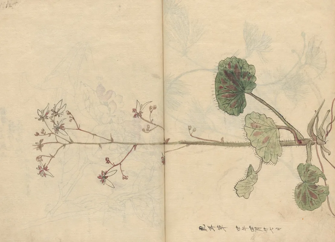 Sketchbook Pl 061 Wall Art by Ariyoshi Kondo - High-Resolution Digital Print