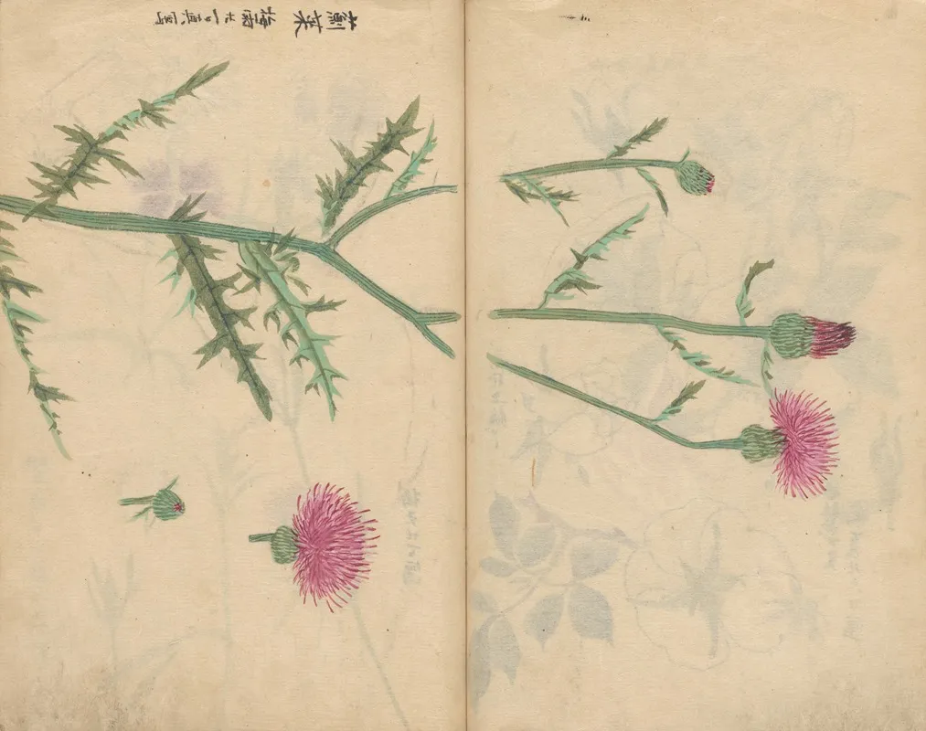 Sketchbook Pl 062 Wall Art by Ariyoshi Kondo - High-Resolution Digital Print