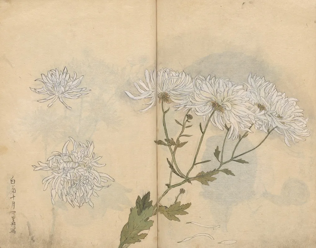 Sketchbook Pl 063 Wall Art by Ariyoshi Kondo - High-Resolution Digital Print