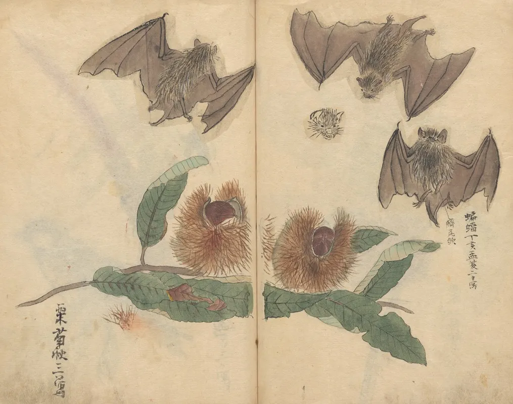 Sketchbook Pl 064 Wall Art by Ariyoshi Kondo - High-Resolution Digital Print