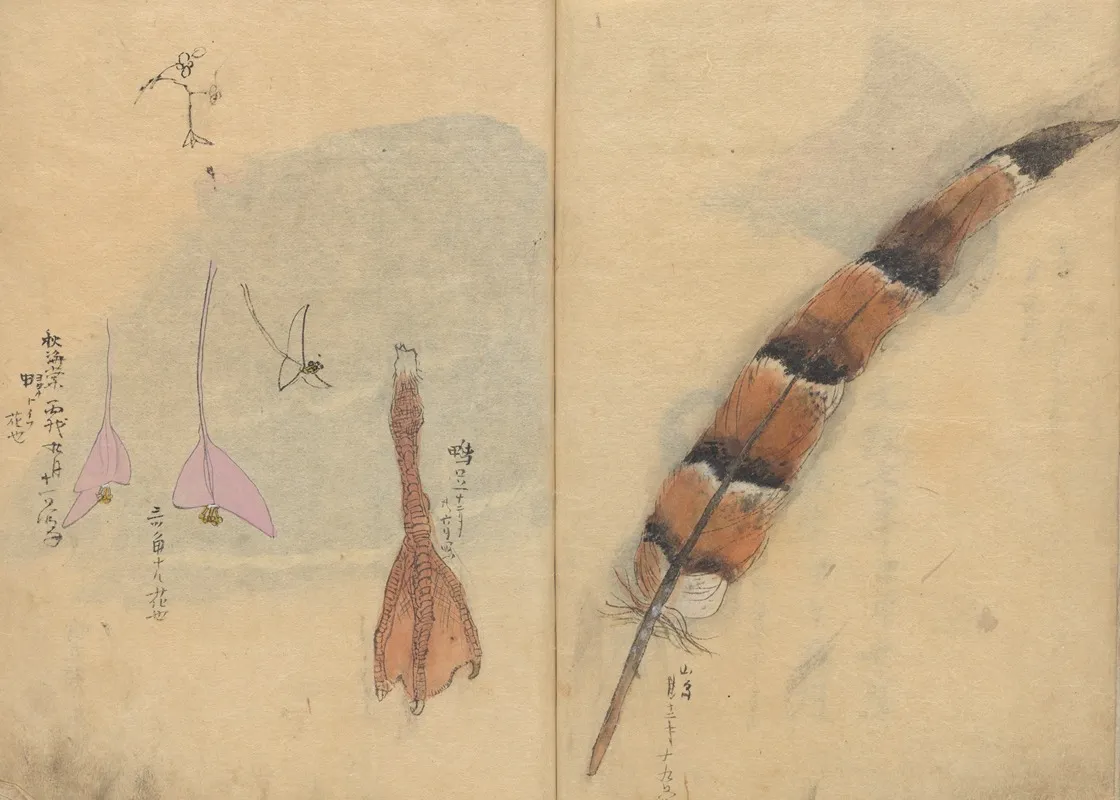Sketchbook Pl 065 Wall Art by Ariyoshi Kondo - High-Resolution Digital Print