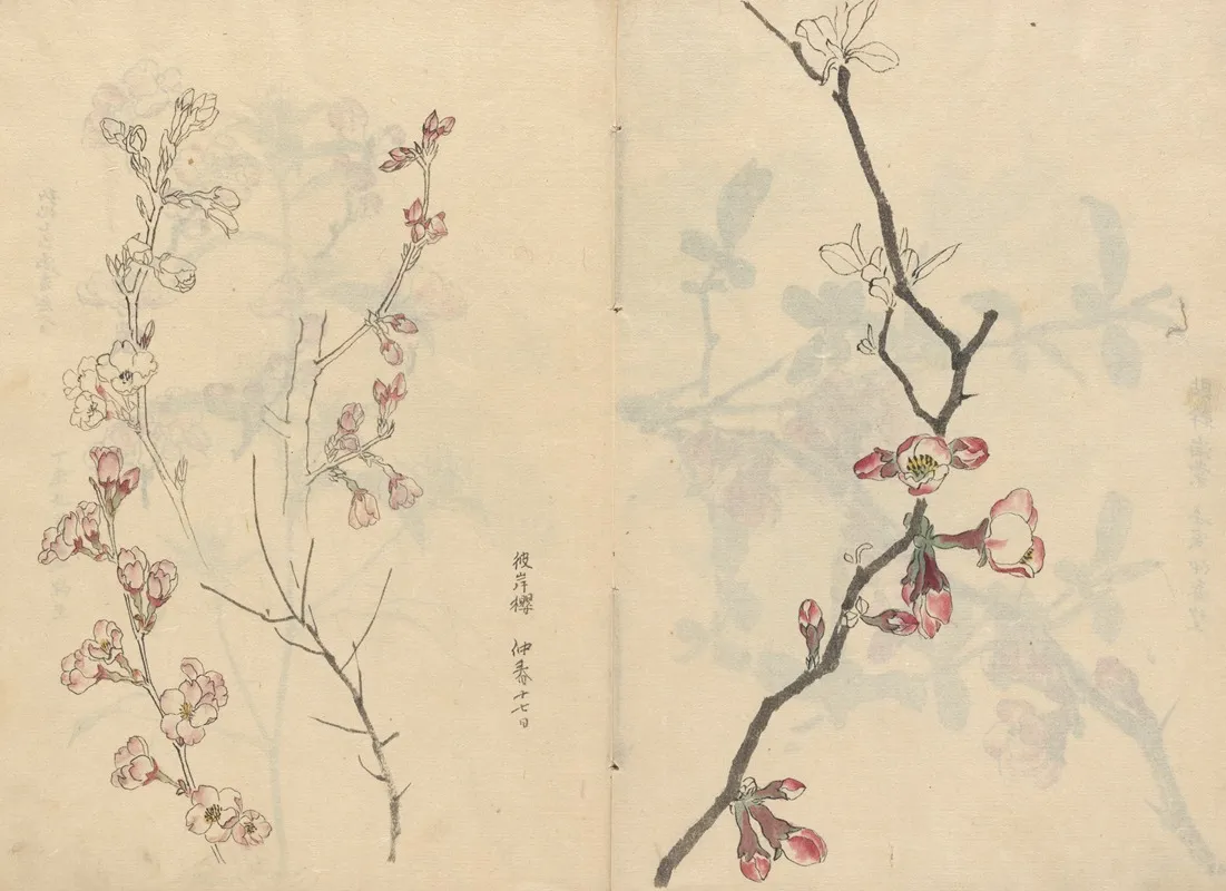 Sketchbook Pl 067 Wall Art by Ariyoshi Kondo - High-Resolution Digital Print