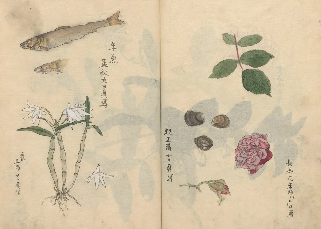 Sketchbook Pl 069 Wall Art by Ariyoshi Kondo - High-Resolution Digital Print