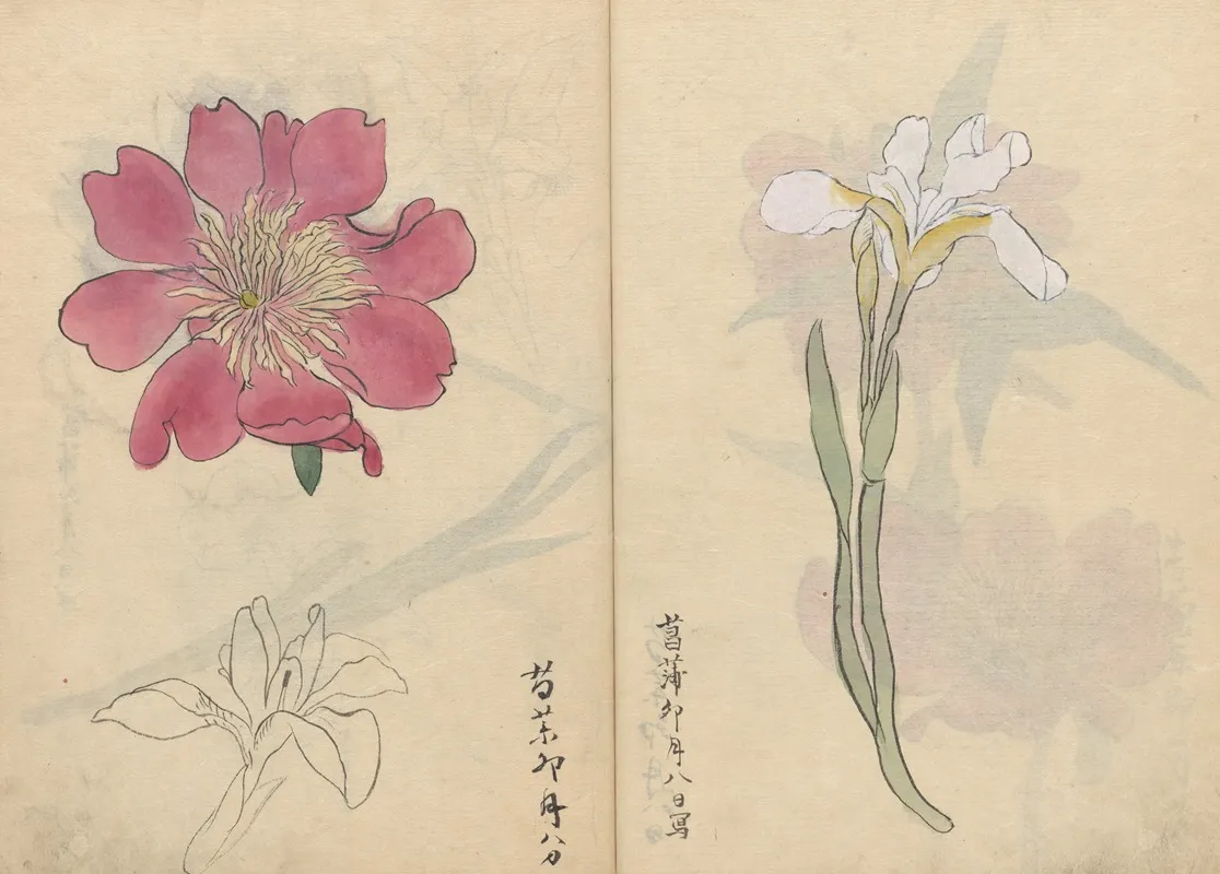 Sketchbook Pl 071 Wall Art by Ariyoshi Kondo - High-Resolution Digital Print