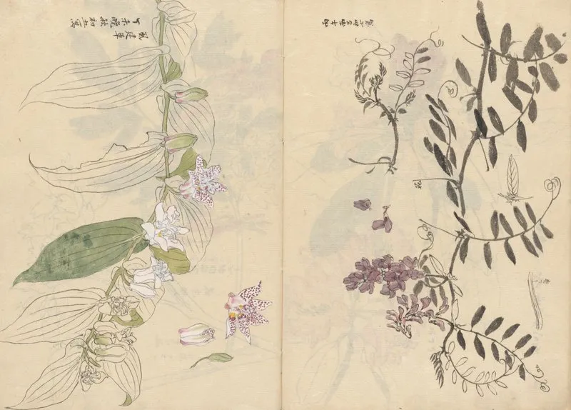 Sketchbook Pl 072 Wall Art by Ariyoshi Kondo - High-Resolution Digital Print